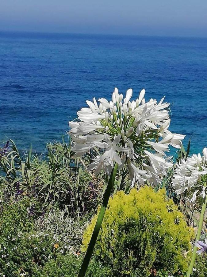 Ikaria Village-Ground Floor Apartment No 4 Klorakas Extérieur photo